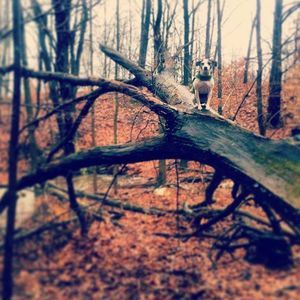 Meet your Posher, Sherrie